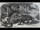 https://image.noelshack.com/fichiers/2015/12/1426622981-800px-iguanodon-versus-megalosaurus.jpg