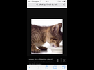 https://image.noelshack.com/fichiers/2015/12/1426777882-iphone-image-03-19-2015.jpg