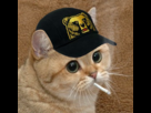 https://image.noelshack.com/fichiers/2015/12/1426883717-avatar.png