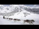 https://image.noelshack.com/fichiers/2015/12/1427050900-chien-de-traineau-suede.jpg
