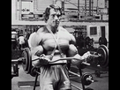https://image.noelshack.com/fichiers/2015/13/1427415074-big-biceps.jpg