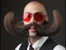 https://image.noelshack.com/fichiers/2015/13/1427566318-plus-belles-barbes-et-moustaches-du-monde-800x.jpg