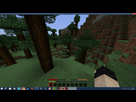 https://image.noelshack.com/fichiers/2015/13/1427569475-minecraft-bug-graphique.png