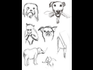 https://image.noelshack.com/fichiers/2015/14/1427829145-planche-animaux-2.jpg