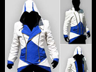 https://image.noelshack.com/fichiers/2015/14/1427838391-assassins-creed-hoodie.jpg
