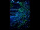 https://image.noelshack.com/fichiers/2015/14/1427838595-escalier-049.jpg