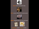 https://image.noelshack.com/fichiers/2015/14/1427994589-hg14.png