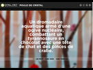 https://image.noelshack.com/fichiers/2015/15/1428335169-capture.jpg
