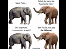 https://image.noelshack.com/fichiers/2015/15/1428340545-ptdrrr.jpg