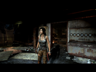 https://image.noelshack.com/fichiers/2015/15/1428536358-tombraider-2015-04-09-01-13-18-58.jpg