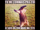 https://image.noelshack.com/fichiers/2015/15/1428594031-11091275-626226797478655-5128681361671729888-n.jpg