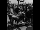 https://image.noelshack.com/fichiers/2015/16/1429046643-arnold-on-venice-beach.jpeg