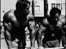 https://image.noelshack.com/fichiers/2015/16/1429046727-arnold-and-franco3.jpg