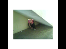 https://image.noelshack.com/fichiers/2015/16/1429200944-doflavictime.png