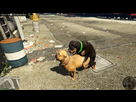 https://image.noelshack.com/fichiers/2015/16/1429262001-gta5-2015-04-15-21-03-23-77.png