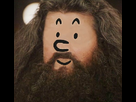 https://www.noelshack.com/2015-17-1429714688-tintinhagrid.jpg