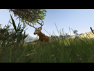 https://image.noelshack.com/fichiers/2015/18/1430124995-gta5-2015-04-27-10-35-43-42.png