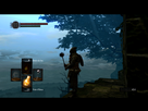 https://image.noelshack.com/fichiers/2015/18/1430435209-darksouls-2015-05-01-00-55-01-05.png