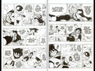 https://image.noelshack.com/fichiers/2015/19/1430766276-dragon-ball-tome-26-52.jpg