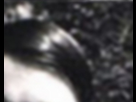 https://image.noelshack.com/fichiers/2015/19/1430784389-2-mguwfrwgcn.jpg