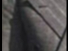 https://image.noelshack.com/fichiers/2015/19/1430784724-13-mguwfrwgcn.jpg