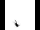 https://image.noelshack.com/fichiers/2015/19/1430914704-ezgif-4082960376.gif