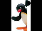 https://image.noelshack.com/fichiers/2015/19/1430947045-1428272809248.png