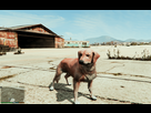 https://image.noelshack.com/fichiers/2015/19/1430997979-gta5-2015-05-07-13-17-21.png
