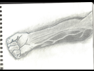 https://image.noelshack.com/fichiers/2015/19/1431008421-scan0003.jpg