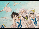 https://image.noelshack.com/fichiers/2015/19/1431203110-one-piece-full-1457819.jpg