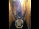 https://image.noelshack.com/fichiers/2015/19/1431269945-1367067311-funny-urinals-shark-toilet.jpg