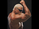 https://image.noelshack.com/fichiers/2015/19/1431281567-scottsteiner-5-2895.jpg