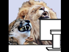 https://image.noelshack.com/fichiers/2015/20/1431301247-1420950953195.png