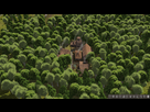 https://image.noelshack.com/fichiers/2015/20/1431637774-2-premiere-foret.jpg