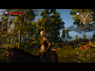 https://image.noelshack.com/fichiers/2015/21/1431992659-witcher3-2015-05-19-01-07-42-10.png