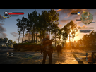 https://image.noelshack.com/fichiers/2015/21/1431992659-witcher3-2015-05-19-01-10-55-77.png