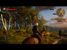 https://image.noelshack.com/fichiers/2015/21/1431992662-witcher3-2015-05-19-01-07-33-74.png