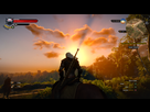 https://image.noelshack.com/fichiers/2015/21/1431992662-witcher3-2015-05-19-01-07-38-25.png
