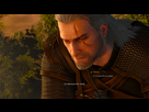 https://image.noelshack.com/fichiers/2015/21/1431992663-witcher3-2015-05-19-00-52-55-36.png