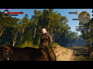 https://image.noelshack.com/fichiers/2015/21/1432076622-witcher3-2015-05-20-00-17-11-023.png
