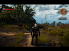 https://image.noelshack.com/fichiers/2015/21/1432135482-witcher3-2015-05-20-17-17-43.png