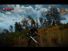 https://image.noelshack.com/fichiers/2015/21/1432135868-witcher3-2015-05-20-17-14-57.png