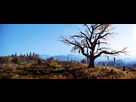 https://image.noelshack.com/fichiers/2015/21/1432142269-witcher3-2015-05-20-18-39-28-stitch.png