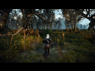 https://image.noelshack.com/fichiers/2015/21/1432150816-witcher3-2015-05-20-20-52-07.png