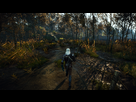 https://image.noelshack.com/fichiers/2015/21/1432150888-witcher3-2015-05-20-20-53-57.png