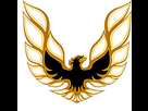 https://image.noelshack.com/fichiers/2015/21/1432207378-bc413b78675c4c208cc95ec5bc74294a.jpg