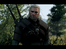 https://www.noelshack.com/2015-21-1432321263-witcher3-2015-05-22-17-49-49-57.png