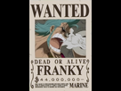 https://image.noelshack.com/fichiers/2015/21/1432465704-franky-s-wanted-poster2.png