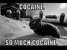 https://image.noelshack.com/fichiers/2015/21/1432472026-cocaine-so-much-cocaine.jpg