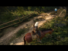 https://image.noelshack.com/fichiers/2015/22/1432551929-witcher3-2015-05-25-10-40-20-363.jpg